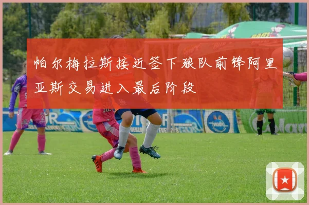 帕尔梅拉斯接近签下狼队前锋阿里亚斯交易进入最后阶段