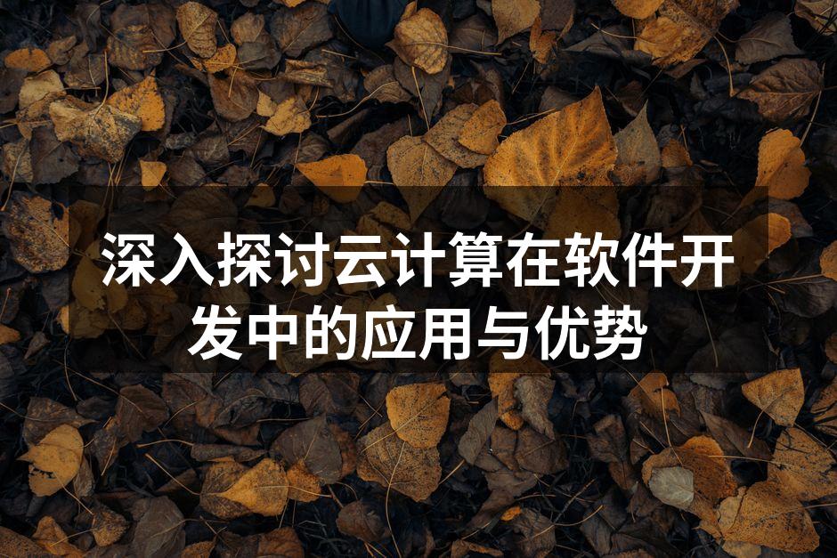 深入探讨云计算在软件开发中的应用与优势