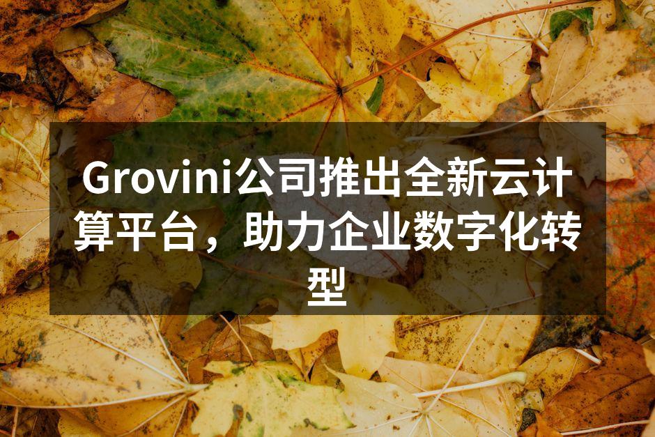 Grovini公司推出全新云计算平台,助