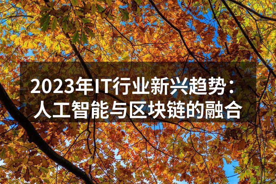 2023年IT行业新兴趋势:人工智能与区
